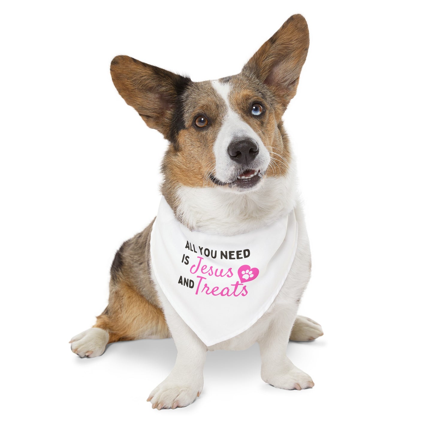 Jesus & Treats Pet Bandana Collar