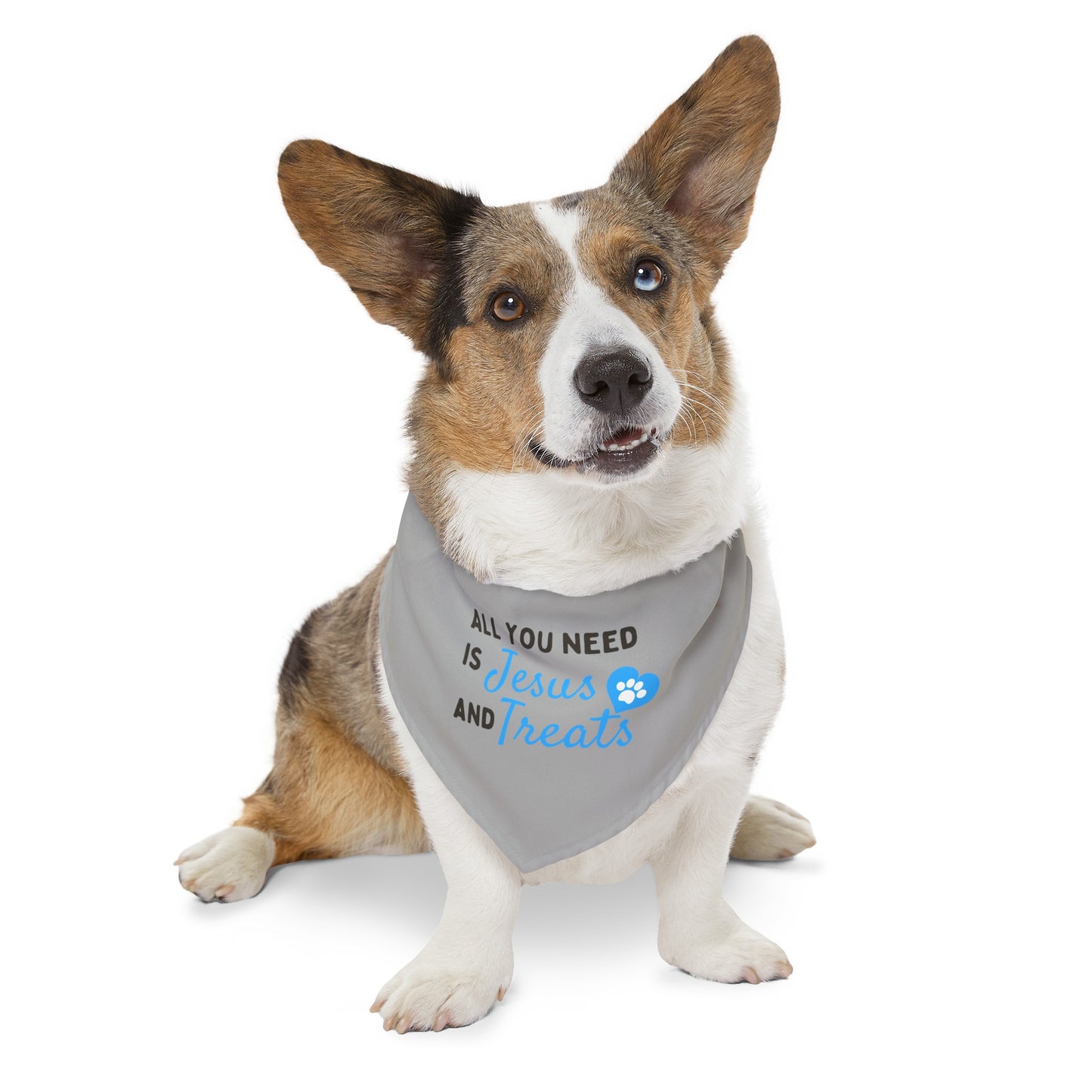 Jesus & Treats Pet Bandana Collar