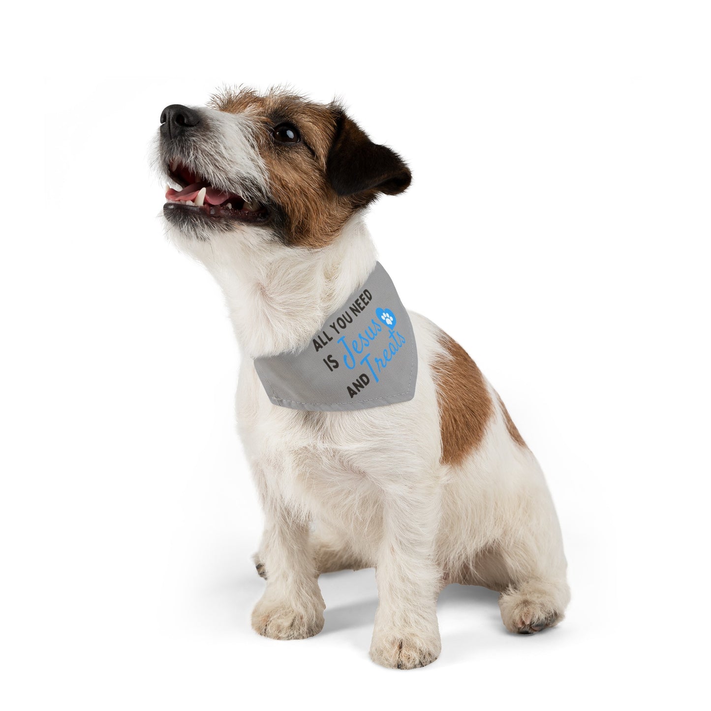 Jesus & Treats Pet Bandana Collar