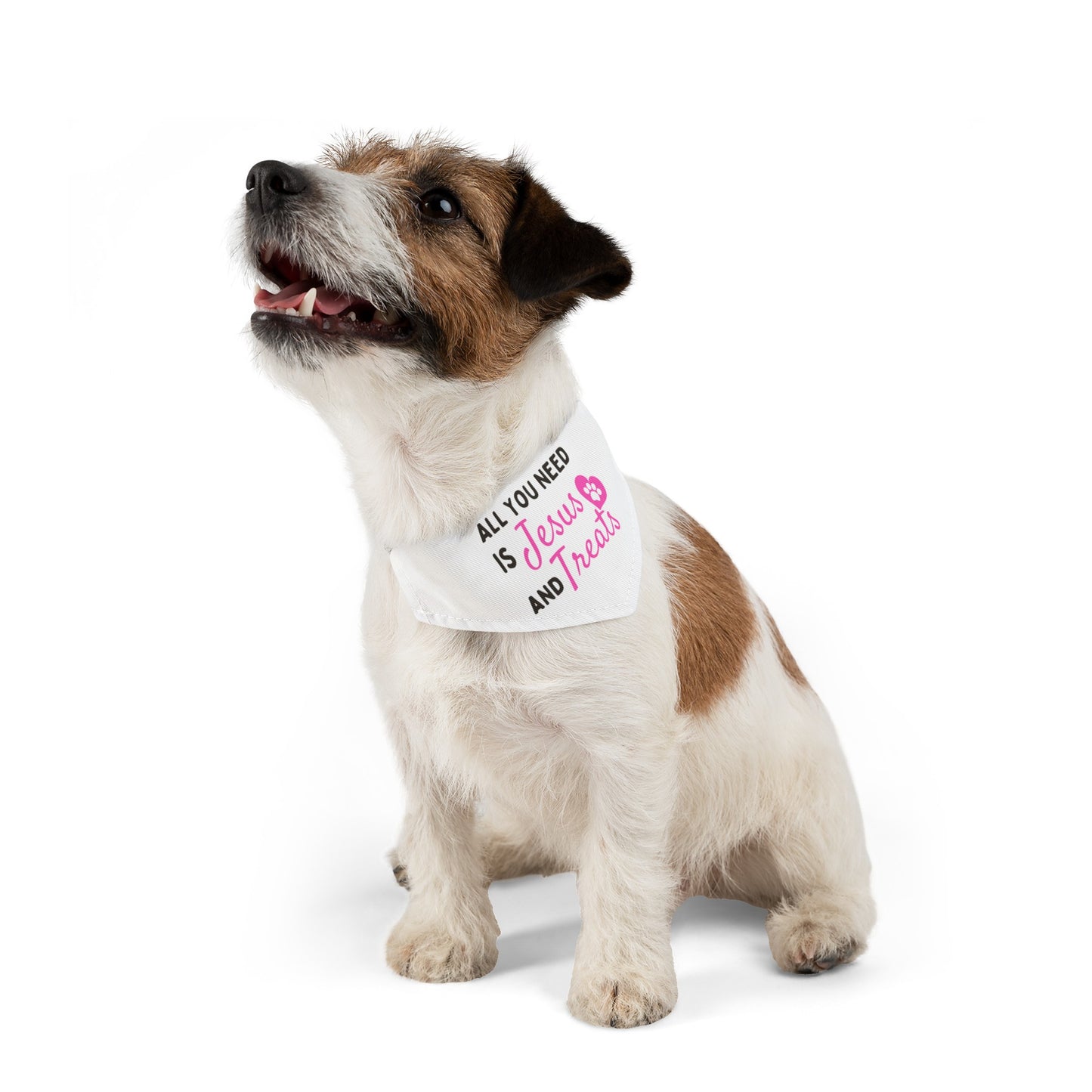 Jesus & Treats Pet Bandana Collar